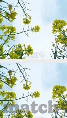 百家乐赢钱秘籍-百家乐赢钱秘籍，策略与技巧的深度剖析