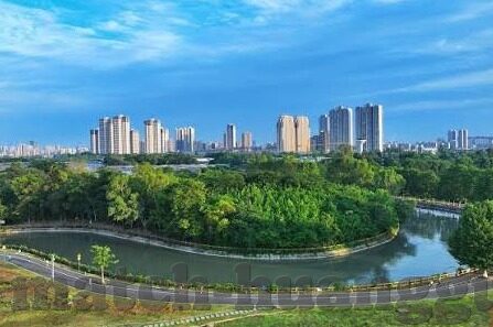 大班音乐森林舞会视频-大班音乐森林舞会，一场视听盛宴的奇妙探索