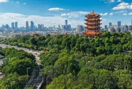 世界杯乌拉圭主力门将-乌拉圭主力门将，守护荣耀的绿茵战士