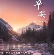 足球文字直播比分直播-足球文字直播与比分直播，绿茵场上的实时心跳，球迷的激情盛宴